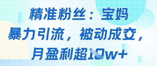 精准粉丝：宝妈暴力引流方法，被动成交，月盈利超1w+-创业项目网