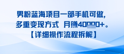8月新男粉蓝海项目一部手机可做，多重变现方式 月入4W+【详细操作流程拆解】-创业项目网