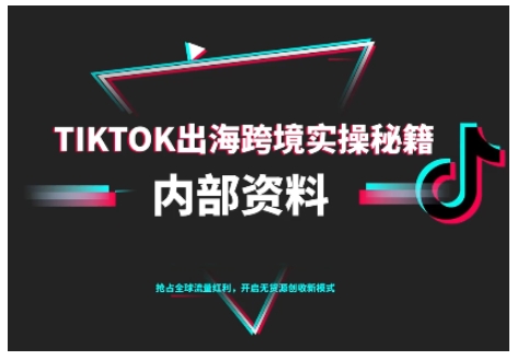 TikTok跨境电商0-1搭建运营，TK出海跨境实操秘籍（10月更新）-创业项目网