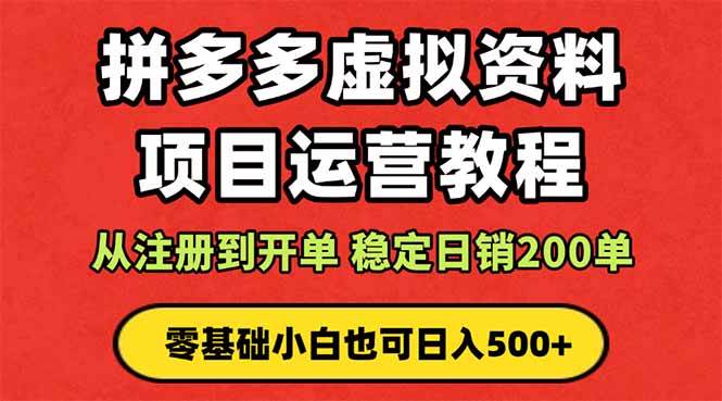 （16220期）拼多多开店运营课程： 蓝海变现玩法，轻松实现睡后收入 零基础小白也可…-创业项目网