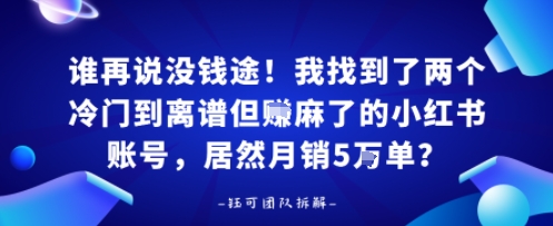 谁再说没钱途！我找到了两个冷门到离谱但賺麻了的小红书账号，居然月销5W单？-创业项目网