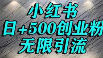 小红书无限引流创业粉，单人操作日引500+精准创业粉-创业项目网
