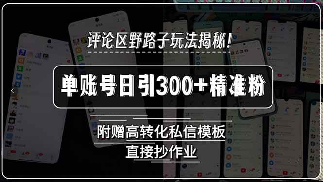 （15466期）评论区野路子玩法揭秘！单账号日引300+精准粉，附赠高转化私信模板，直…-创业项目网