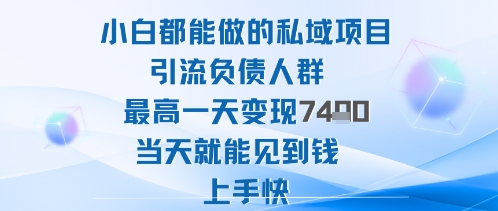 2025年小白都能做的私域项目引流负债人群最高一天变现1k+高变现难度低当天就能见到钱上手快-创业项目网