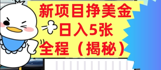 最新挣美金项目,日入5张,全程揭秘,小白也能轻松入手,长久被动收入