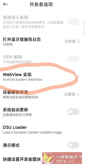 Android System WebView 安卓设备浏览提速139.0.7258.62-创业项目网
