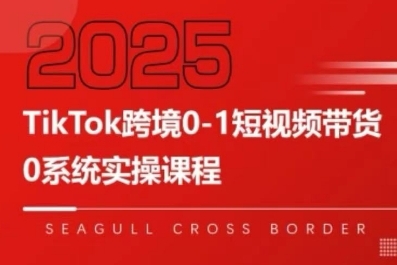 TikTok跨境0-1短视频带货，系统拆解TikTok跨境带货全链路，实现跨境可持续盈利-创业项目网