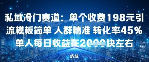 私域冷门赛道：单个收费198米引流模板简单人群精准转化率45%单人每日收益在1k+-创业项目网