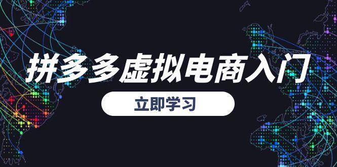 （15158期）拼多多虚拟电商入门，精准选品方法论，无货源模式起盘技巧-创业项目网