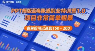 PPT模版蓝海赛道副业特训营1.0，项目非常简单粗暴，客单价可以高到150-200-创业项目网