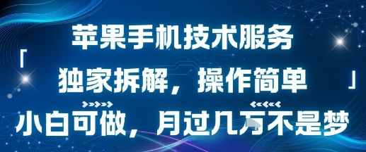 苹果手机技术服务，独家拆解，操作简单，小白可做，月过1W不是梦-创业项目网