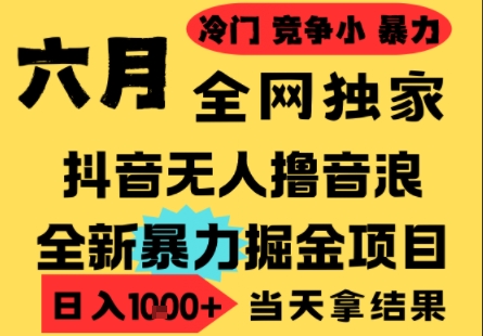 25年6月高爆抖音无人直播最新撸音浪掘金项目，小白可做，无脑日入1k+，门槛低可批量矩阵【揭秘】-创业项目网