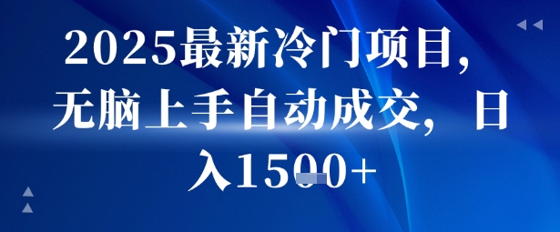 2025最新冷门项目，无脑上手自动成交，日入多张-创业项目网