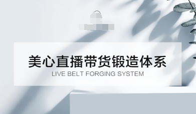 直播带货锻造体系课，5G时代美心一站式帮你开启直播带货之路【音频】-创业项目网