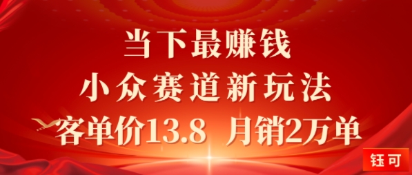 当下最挣钱的小众赛道 小红书新玩法10个作品涨粉3W，客单价13.8 月销2W单-创业项目网