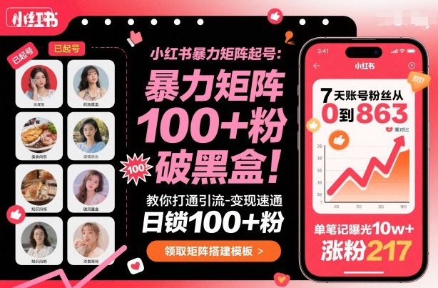 小红书暴力矩阵起号，教你打通引流-变现速通，日锁100+粉，破流量黑盒-创业项目网