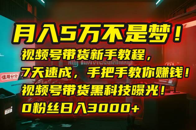 （15595期）月入5万不是梦！视频号带货新手教程，7天速成，手把手教你赚钱！视频号…-创业项目网