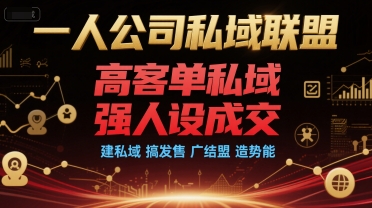 一人公司私域联盟，高客单私域，强人设成交，建私域 搞发售 广结盟 造势能-创业项目网