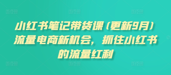 小红书笔记带货课(更新25年6月)流量电商新机会，抓住小红书的流量红利-创业项目网