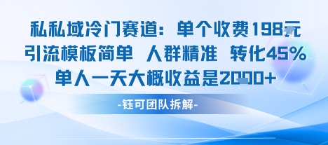 私域冷门赛道单个收费198米引流模板简单人群精准 45%的转化率单人一天大概收益多张-创业项目网