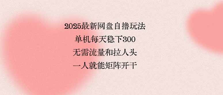 （15831期）2025最新网盘自撸玩法，单机每天稳下3张，无需流量和拉人头，一个人就…-创业项目网