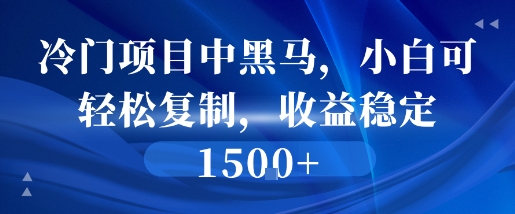 冷门项目中黑马，小白可轻松复制，收益稳定1.5k-创业项目网