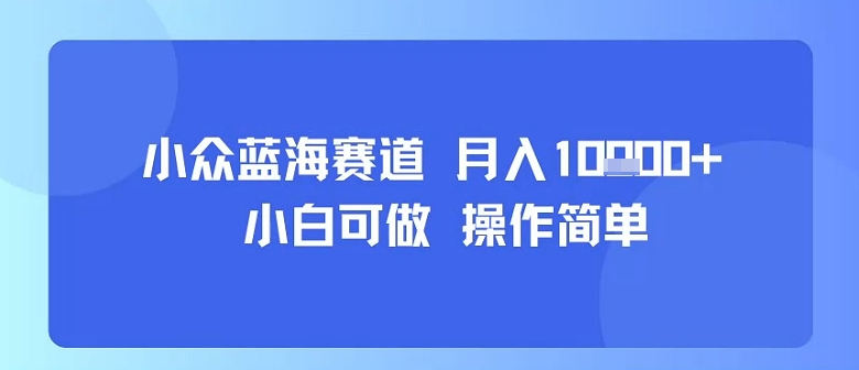 小众蓝海赛道，小白可做，操作简单，每天30分钟，月入1W+-创业项目网