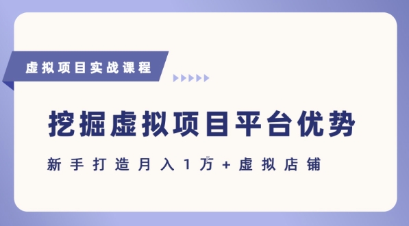 抓住虚拟项目各平台优势，新手轻松月入1W+(给出具体建议)-创业项目网