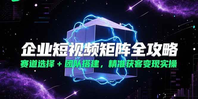 （15242期）企业短视频矩阵全攻略，赛道选择+团队搭建，精准获客变现实操-创业项目网