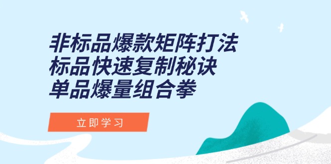 （15068期）非标品爆款矩阵打法，标品快速复制秘诀，单品爆量组合拳-创业项目网
