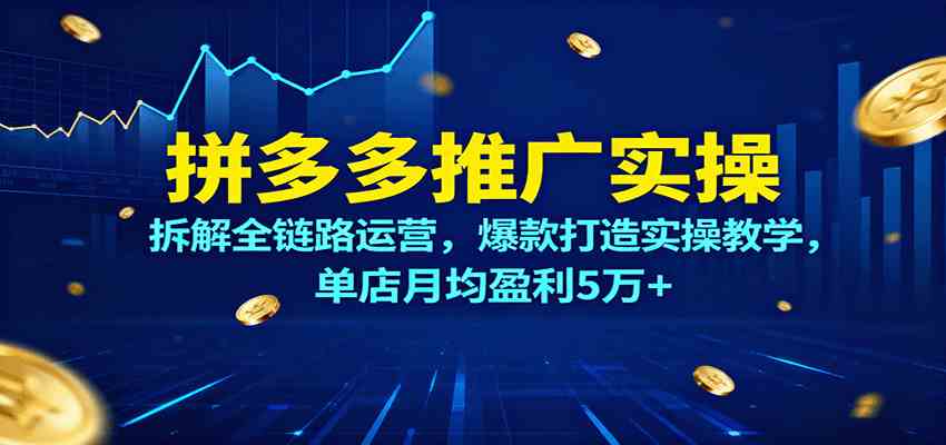 拼多多推广实操，拆解全链路运营，爆款打造实操教学，单店月均盈利5万+-创业项目网