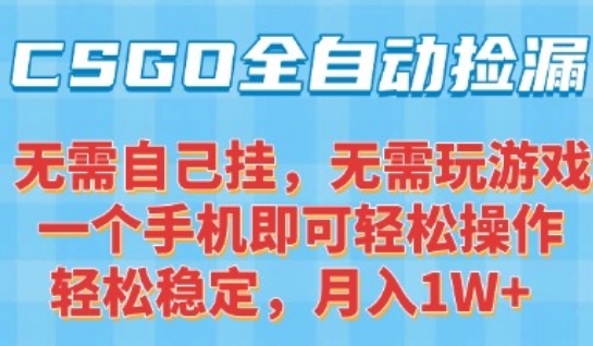 CSGO自动捡漏项目，最新独家玩法，一个手机可操作，新手小白轻松月入1W+，操作简单易上手【揭秘】-创业项目网