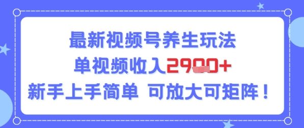 视频号养生玩法，单视频收入2.9k，新手上手简单-创业项目网