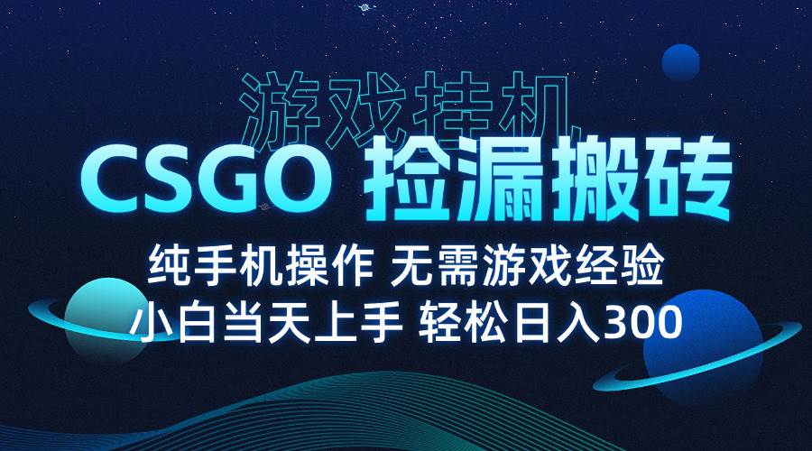 （15820期）8月最新游戏搬砖，CSGO纯挂机，不需要玩游戏，实现真挂机，月入1W+-创业项目网