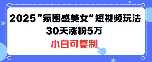 不露脸也能火！2025“氛围感美女”短视频玩法，30天涨粉5W小白可复制-创业项目网