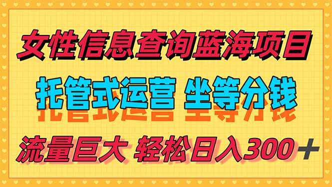 （15216期）稳定日入300＋，小众信息查询蓝海项目，全程懒人式托管，解放你的时间-创业项目网
