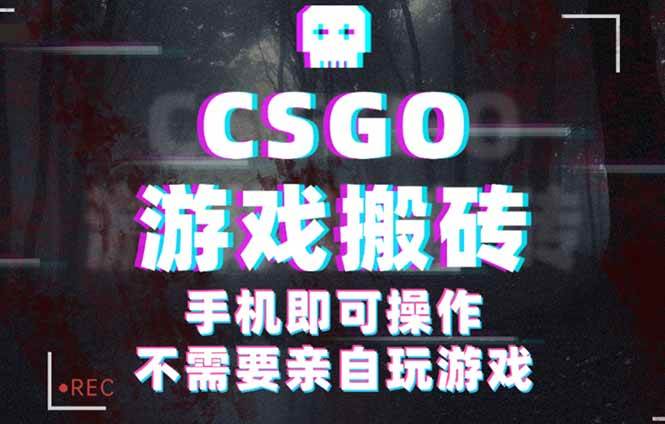 （16090期）CSGO游戏挂机捡漏，单日扫货500+，年底小高峰上车可吃肉，手机即可操作…-创业项目网